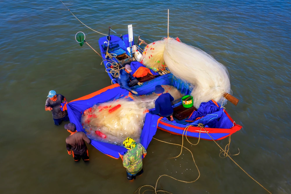 lộc biển (2).jpg