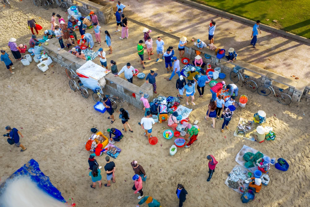 lộc biển (6).jpg