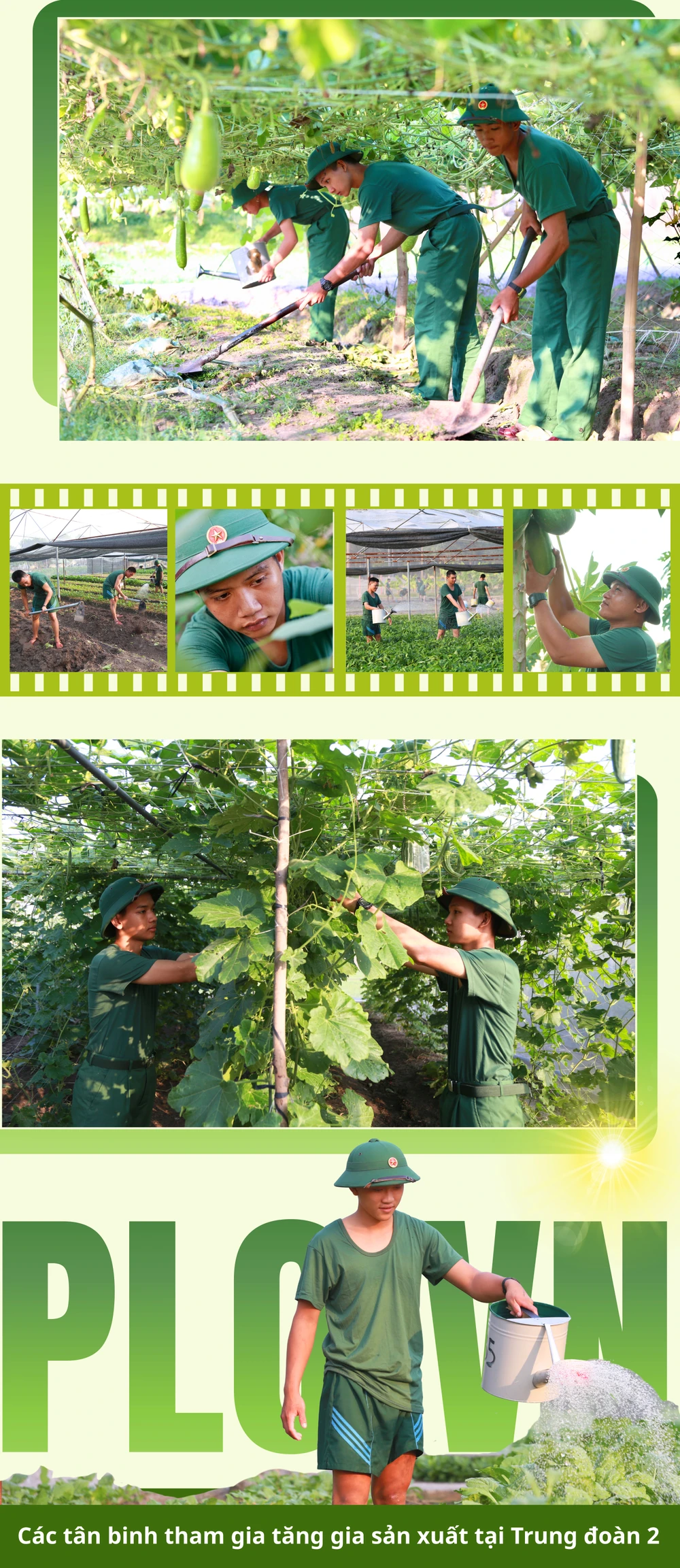 GHÉP CỤM ẢNH 12.jpg