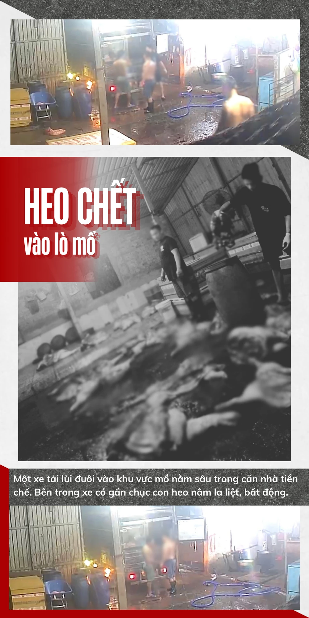 CỤM 2.png