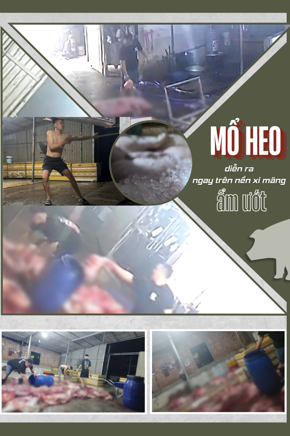 CỤM 3.png