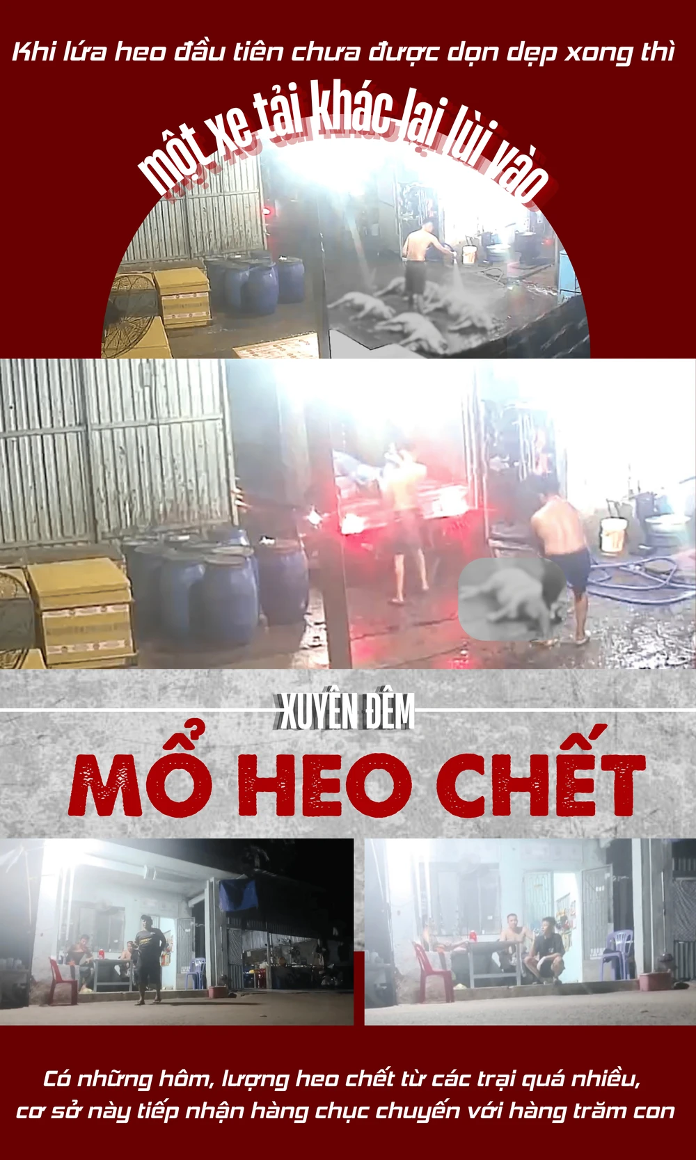 CỤM 4.png