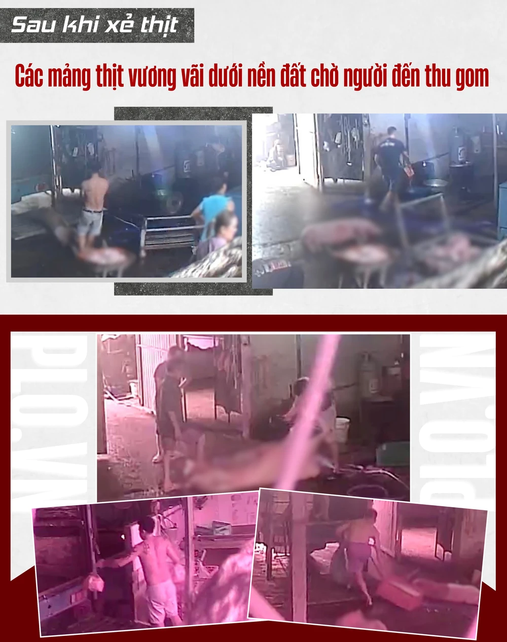 CỤM 5.png