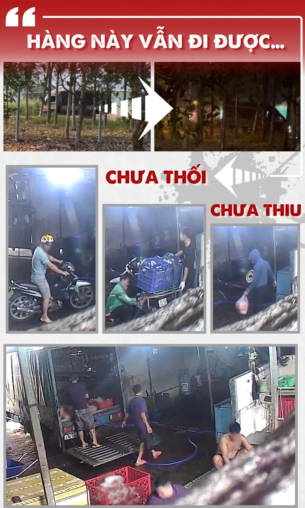 CỤM 6.png