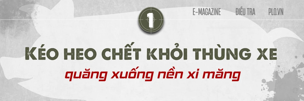 heo chết (5).png