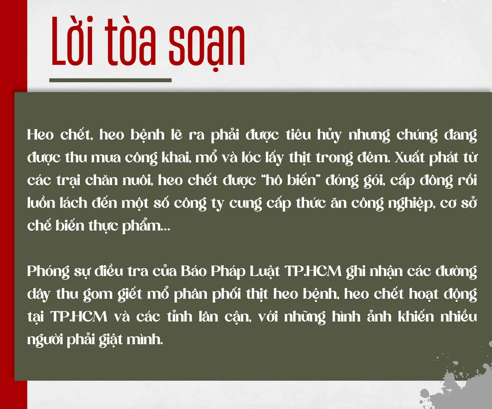 LỜI TOÀ SOẠN.png