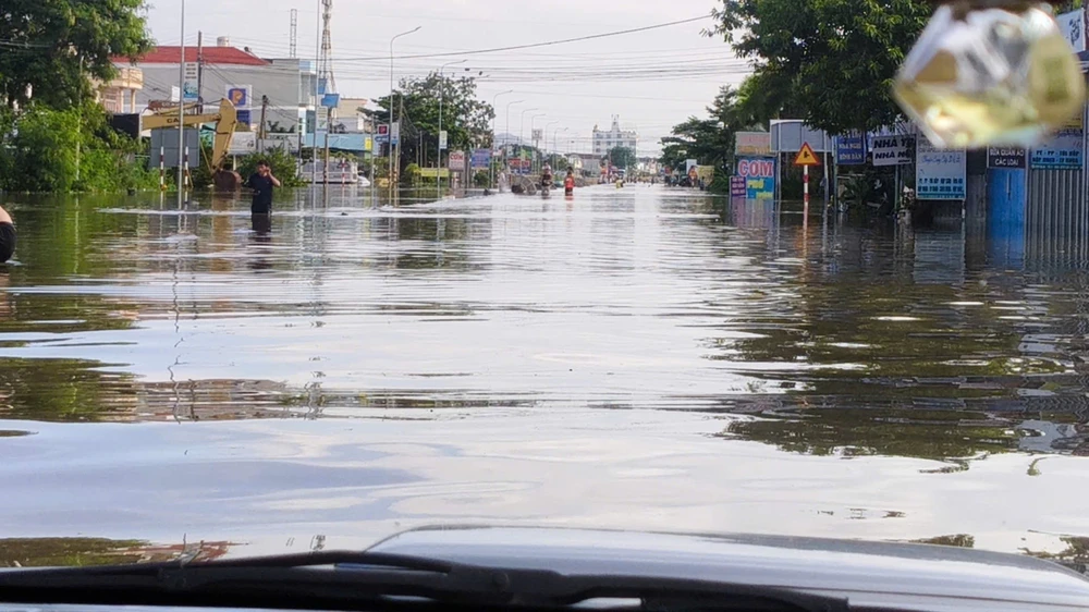 Lam - dong - ngap.jpg