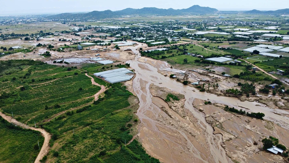 Lam - dong - tan - hoang - sau - lu.jpg