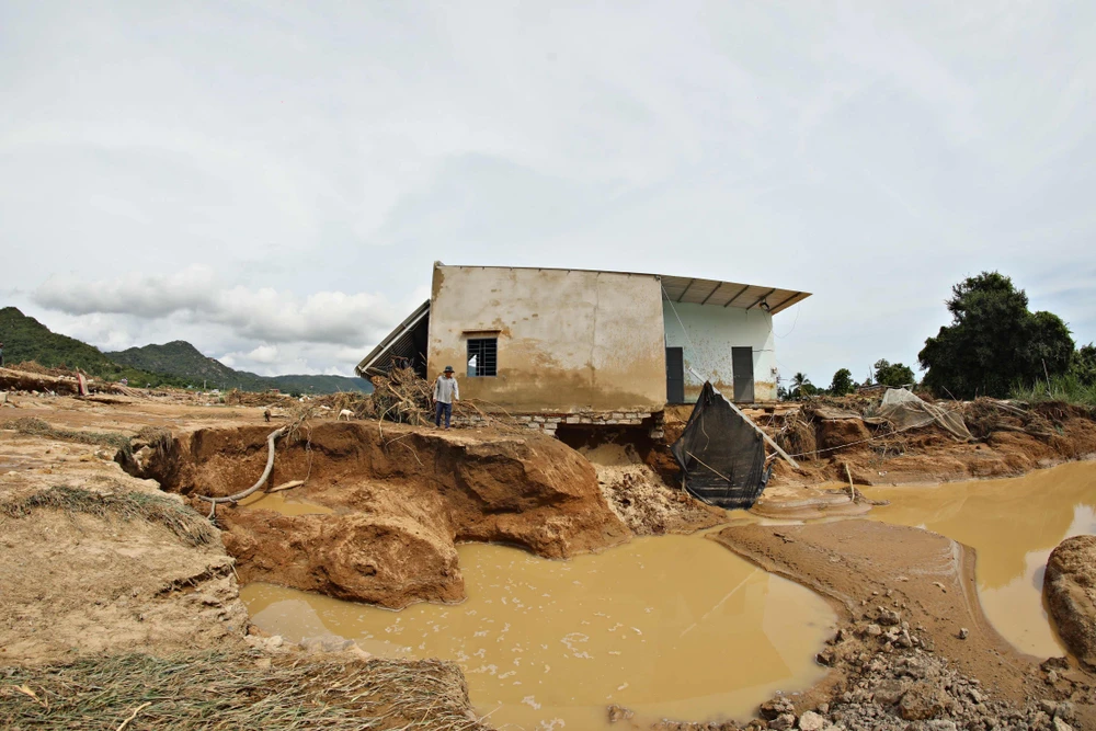 Lam - Dong - tan - hong.jpg