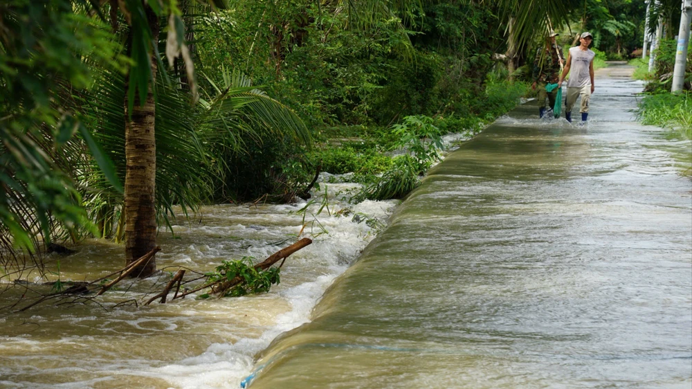ngap - ven - bioen - lam - dong.jpg