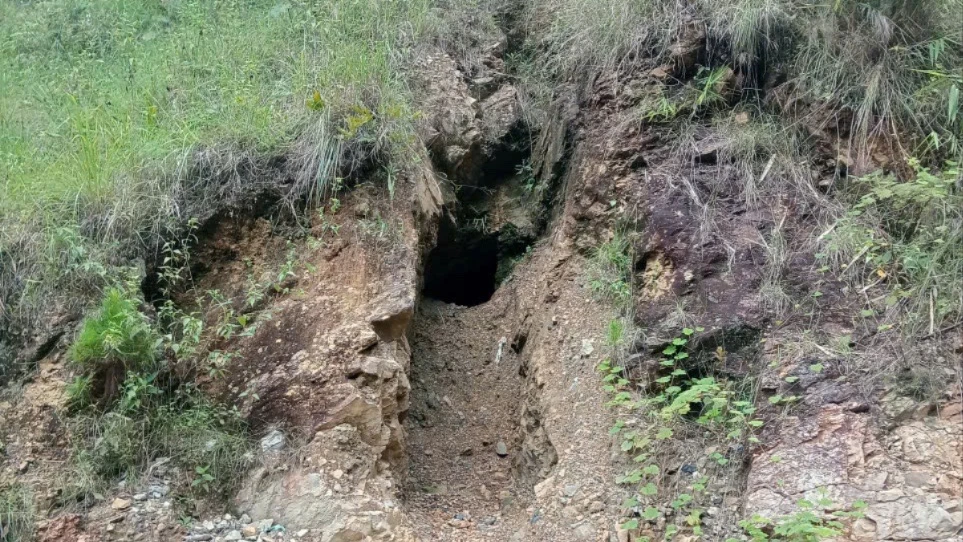 vang - tac - lam - dong.jpg