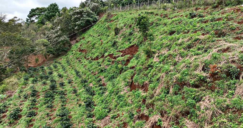 lam-dong- sat- lo.jpg