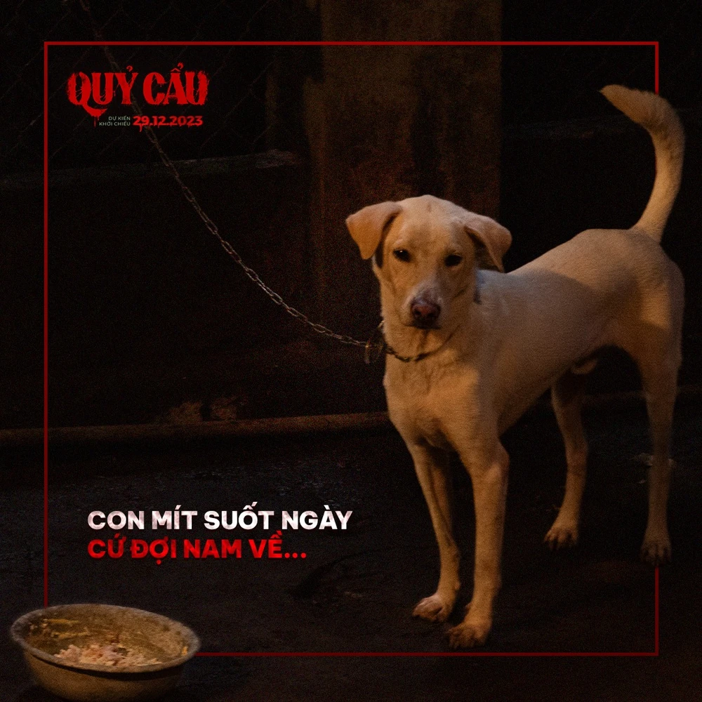 Phim quỷ cẩu -1.jpg