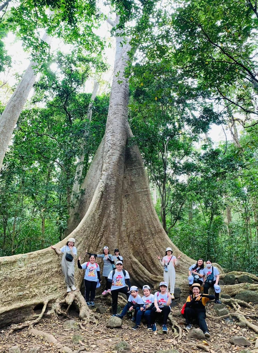 du lịch ngày tết.JPG