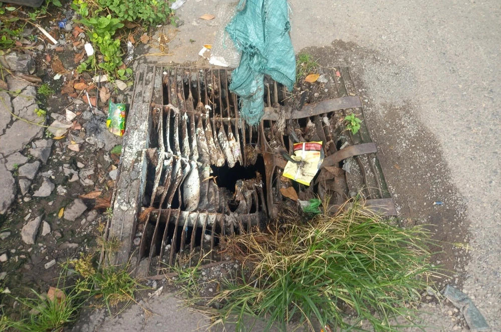 nắp cống hư hỏng 1.jpg