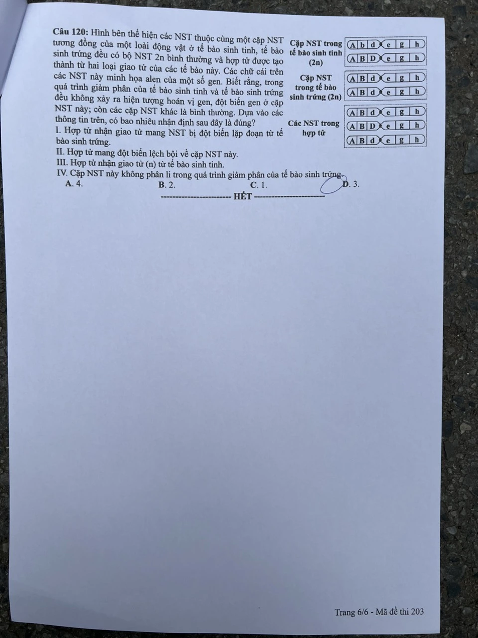 Thi tốt nghiệp THPT-sinh1-khtn-t1 t6.jpg