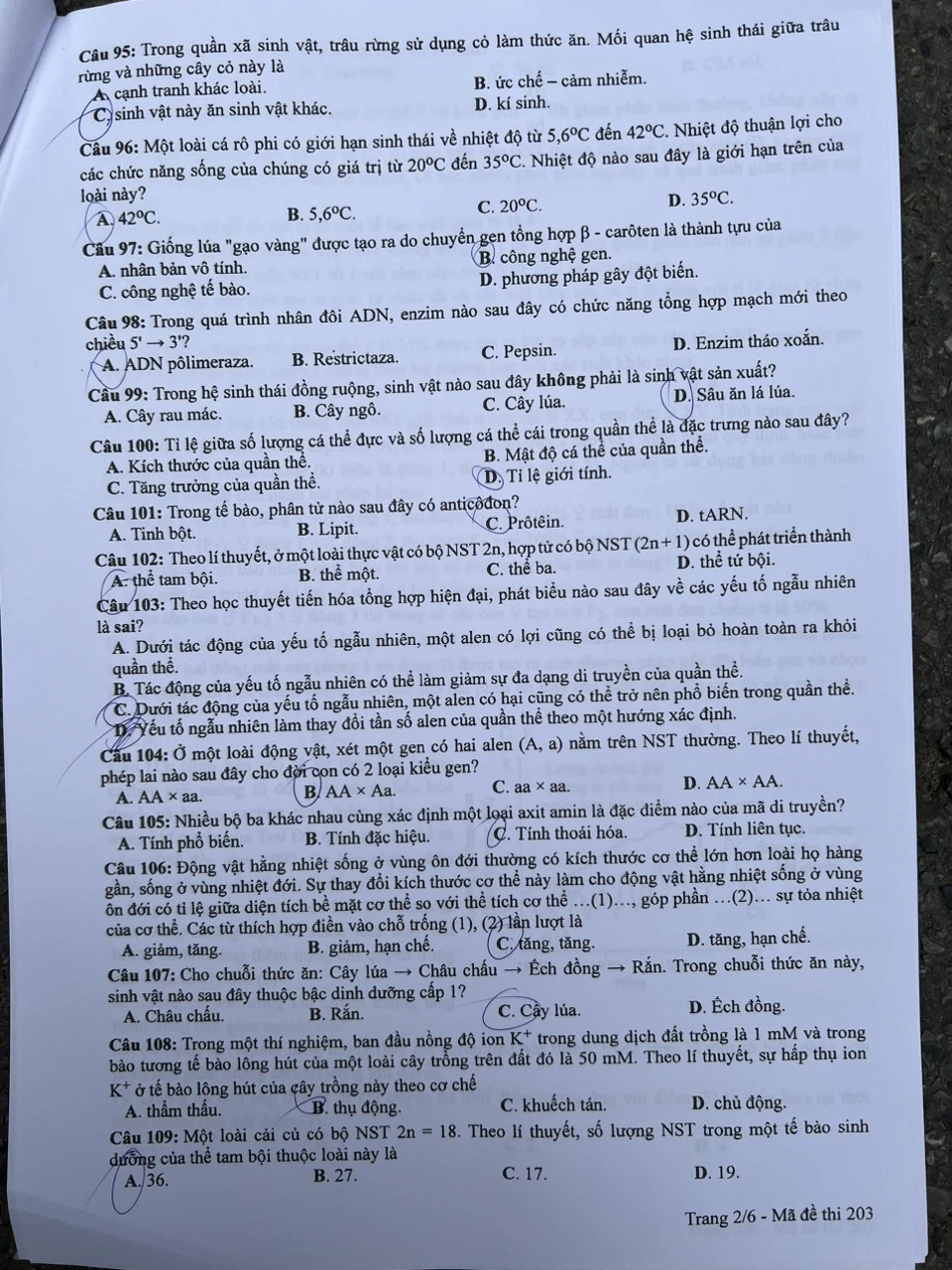 Thi tốt nghiệp THPT-sinh1-khtn-t2.jpg