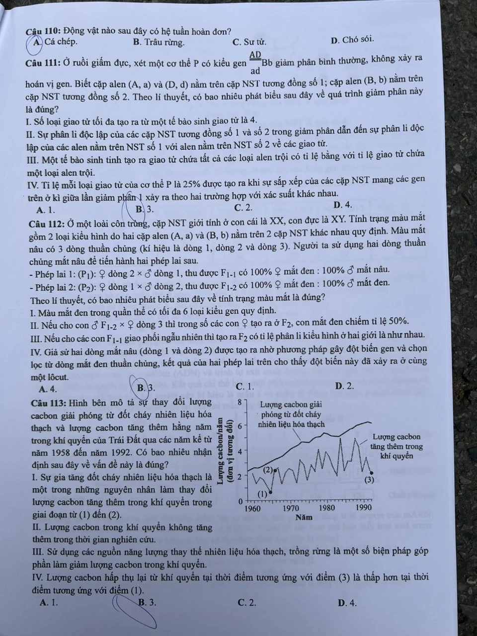 Thi tốt nghiệp THPT-sinh1-khtn-t3.jpg