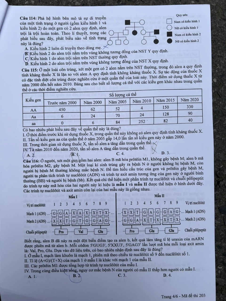 Thi tốt nghiệp THPT-sinh1-khtn-t4.jpg