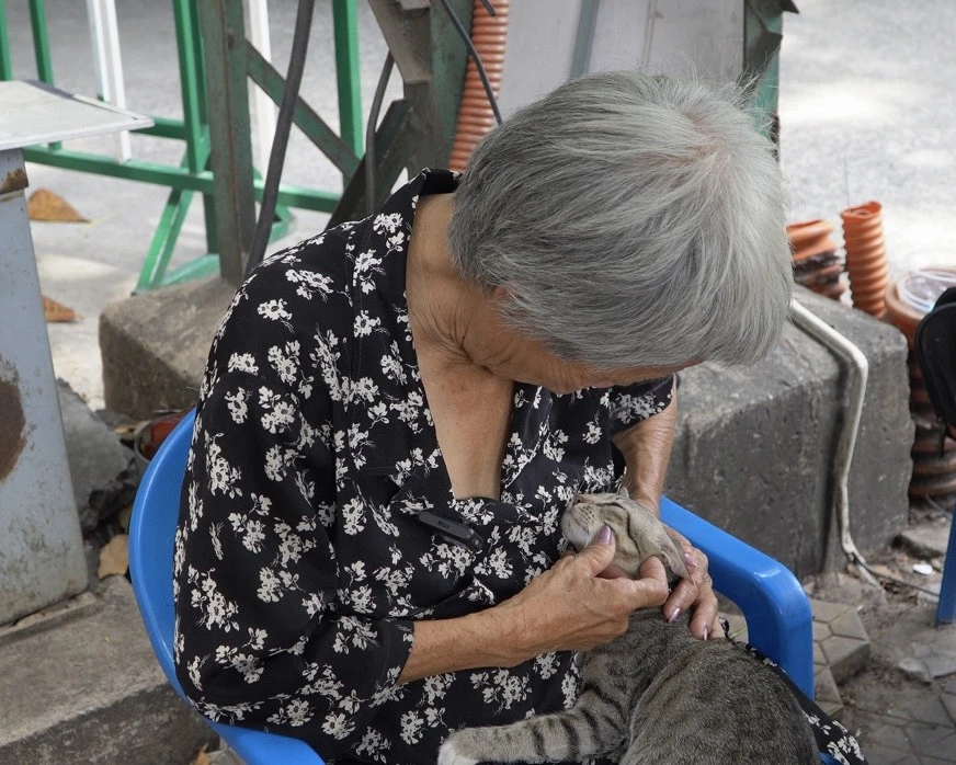 Ảnh 4_ Nội Mai cho biết bị bệnh tim và huyết áp nhưng vẫn cùng đàn mèo của mình rong ruổi mỗi ngày tại Thảo Cầm Viên. Ảnh_ NVCC.jpg