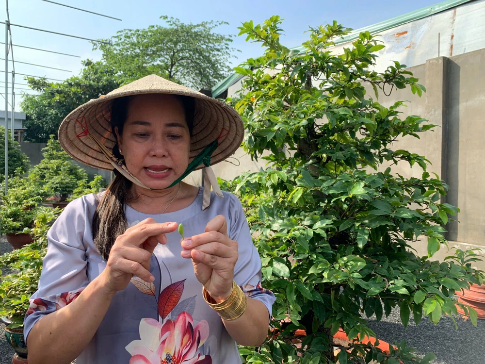 kiếm tiền tỉ 2.jpeg