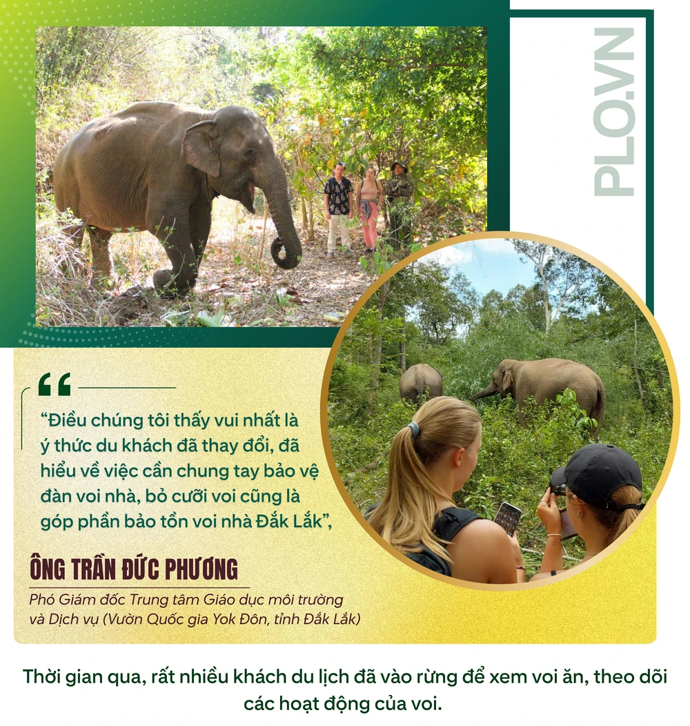 ẢNH GHÉP 9 - Thời gian qua, rất nhiều khách du lịch đã vào rừng để xem voi ăn, theo dõi các hoạt động của voi. (1).png