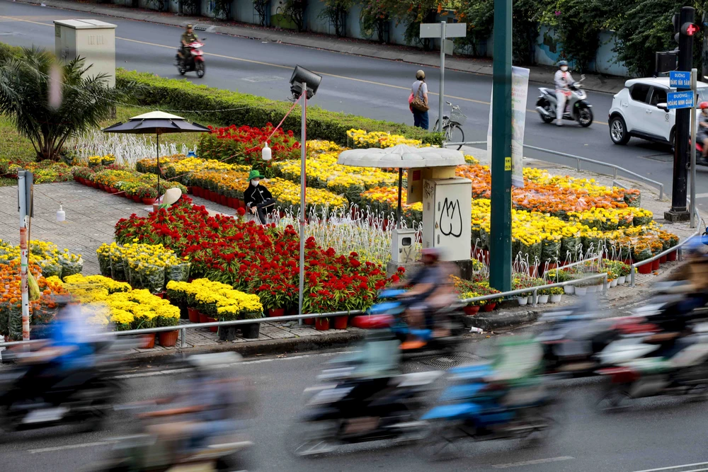 Anh Tet - Nguyet Nhi (12).jpg