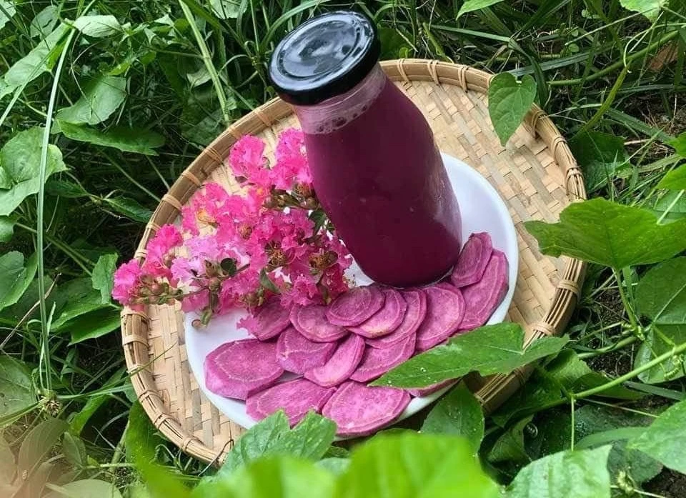 Nhiều món ăn hấp dẫn từ khoai lang tím giải cứu, ai nhìn cũng xuýt xoa ảnh 15