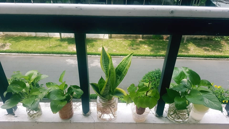 Ở nhà mùa dịch: Chị em 'bày trò' để giảm stress ảnh 4