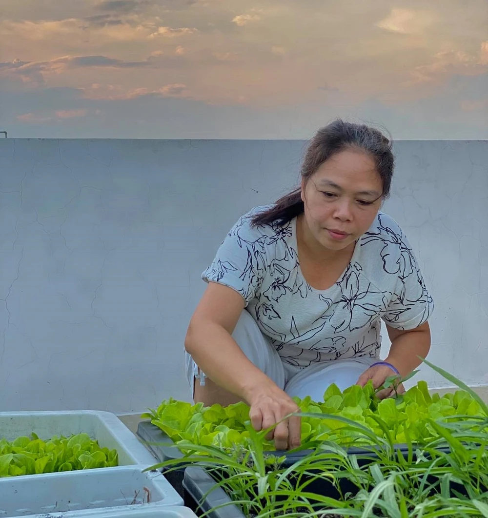 Mùa dịch, nhiều gia đình không lo thiếu rau nhờ ... sân thượng ảnh 2