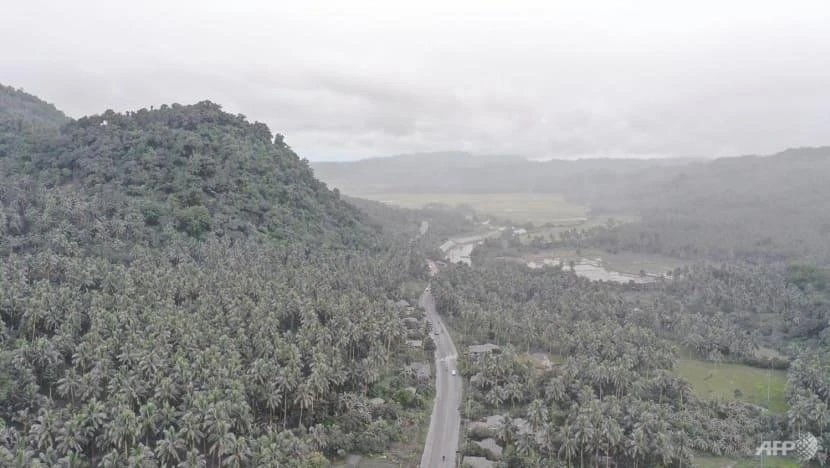 Các đám khói bụi cao gần 1 km. Ảnh: AFP