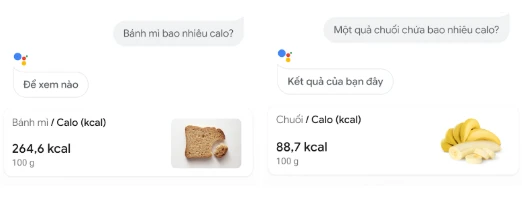 google-assistant
