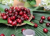 Nước ép cherry giúp điều trị bệnh gout
