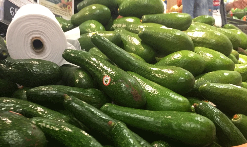 Quả bơ là một nguồn cung cấp vitamin E dồi dào. Ảnh: NHẬT LINH