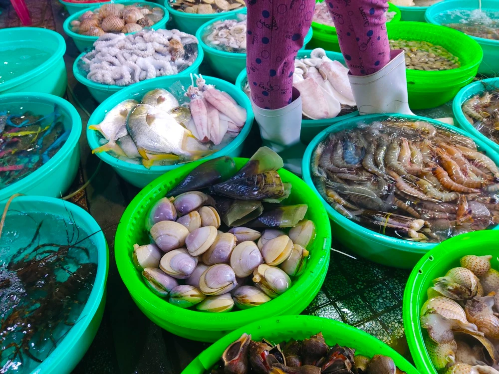 Sò chứa nhiều vitamin B12. Nó cũng là nguồn cung cấp protein và sắt rất cần thiết cho cơ thể. Ảnh: NHẬT LINH