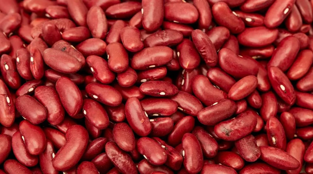 Đậu thận là nguồn cung cấp sắt, phốt pho và kali tốt. Ảnh: pinterest.
