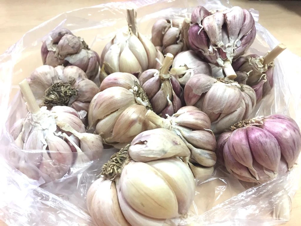 Lợi ích của tỏi