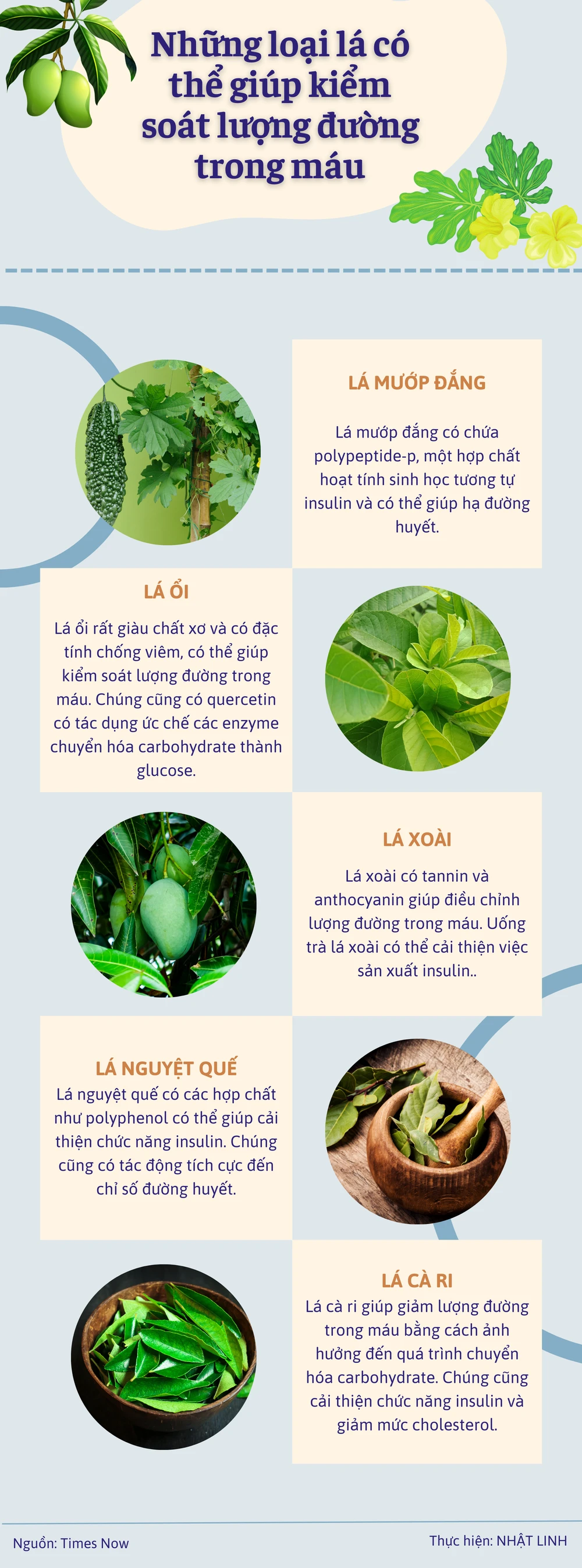 Những loại lá có thể giúp kiểm soát lượng đường trong máu