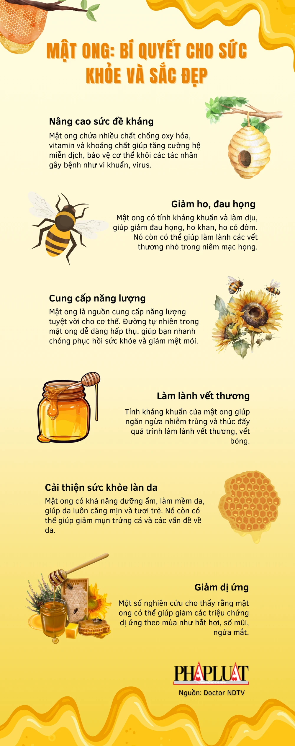 Mật ong: bí quyết cho sức khỏe và sắc đẹp