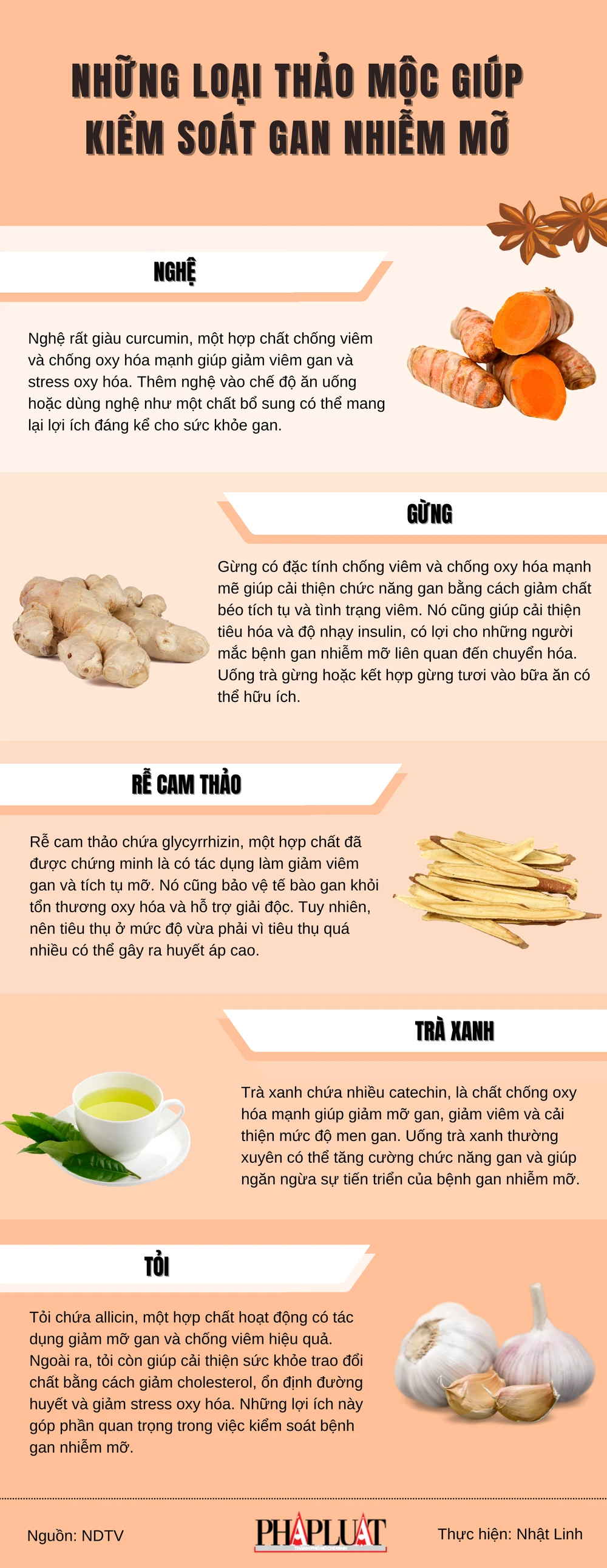 Những loại thảo mộc giúp kiểm soát gan nhiễm mỡ