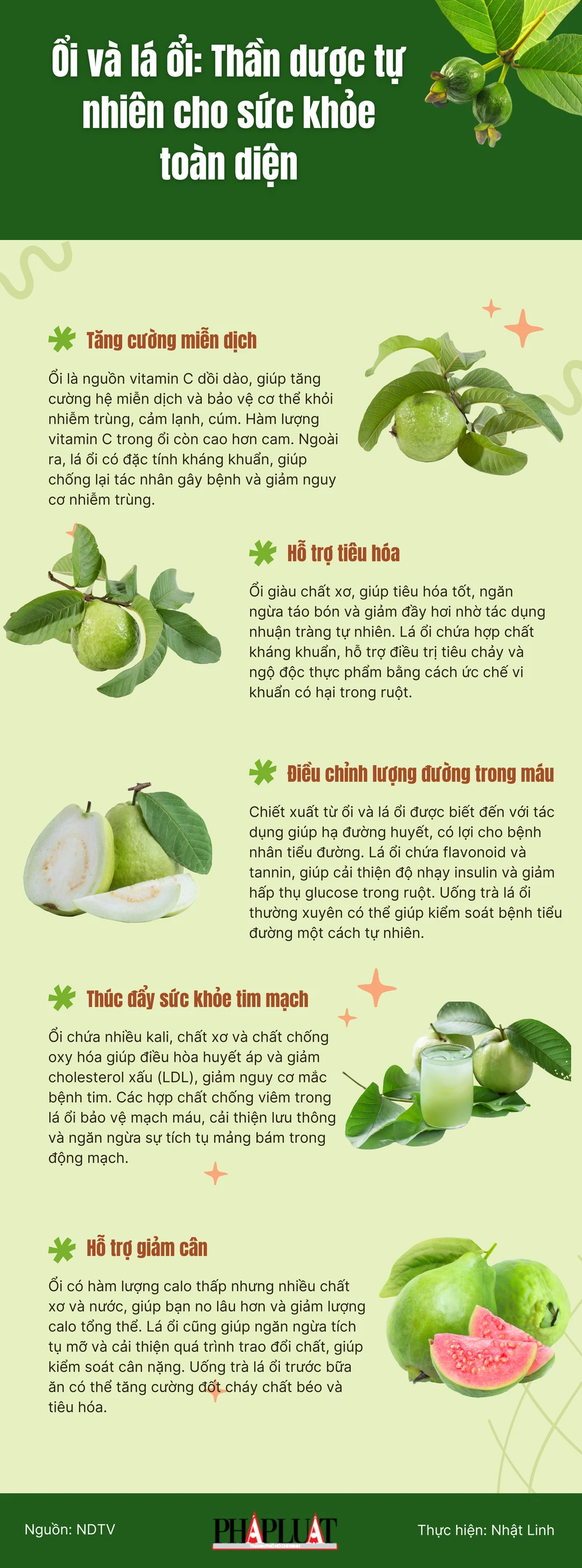 Ổi và lá ổi: Thần dược tự nhiên cho sức khỏe toàn diện