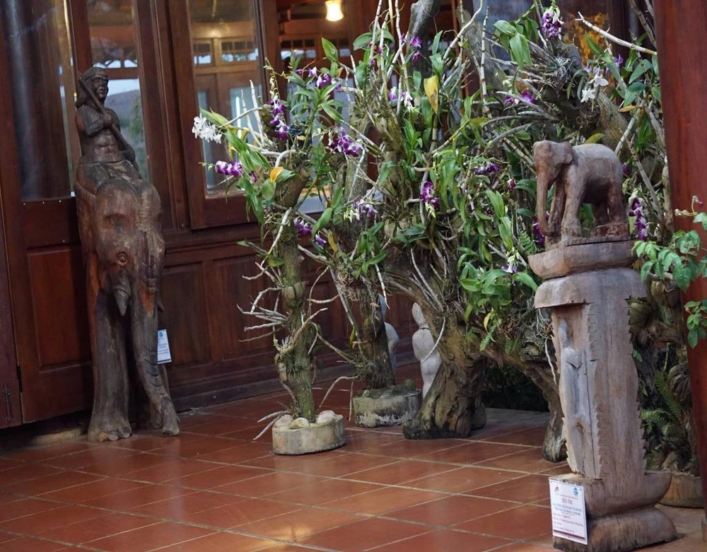 tác-pẩm-dự-thi-hoàn thành