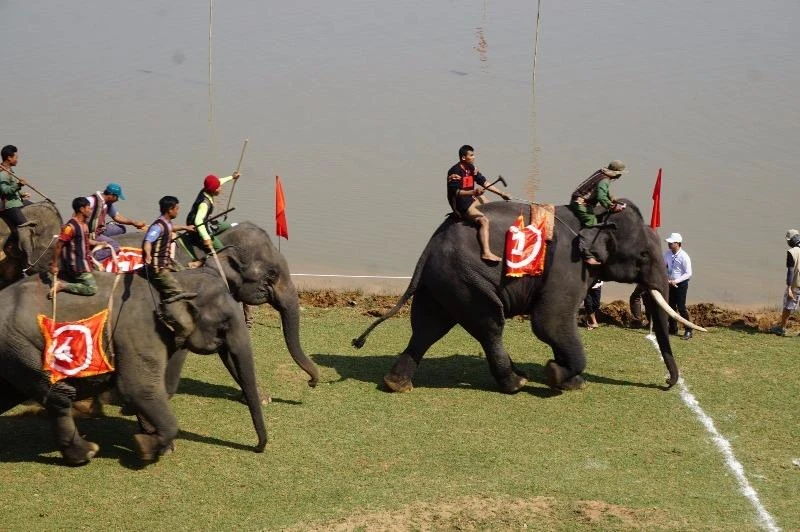 chàng số 1 đã đoạt giải vô địch