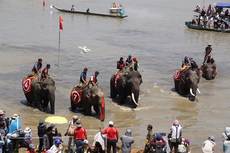 Những "chàng trai " và "cô gái " đã chính thức thong dong.