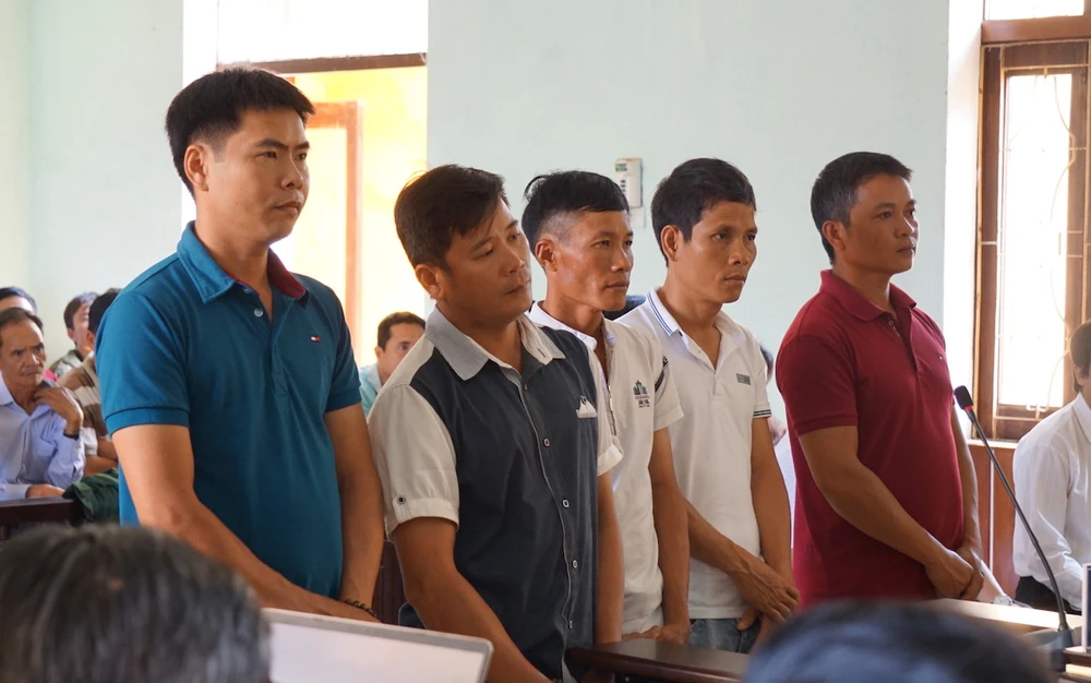 Vụ cưa cây gỗ khô: Các thẩm phán đã hết bệnh ảnh 1