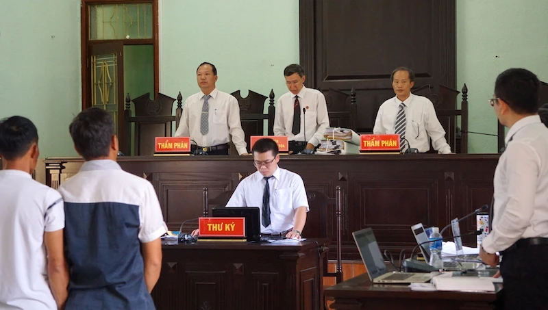 Vụ cưa cây gỗ khô: Các thẩm phán đã hết bệnh ảnh 5