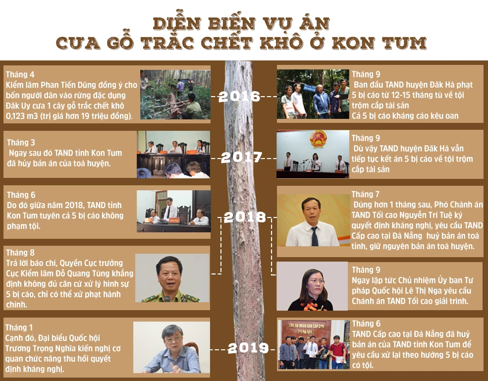 Luật sư vụ cưa gỗ khô chất vấn tòa xử kín hay công khai? ảnh 4