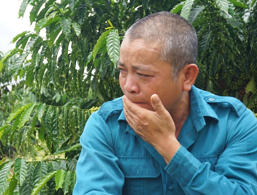 Vụ gỗ khô: Nghẹn ngào trước ngày đi thi hành án tù ảnh 2