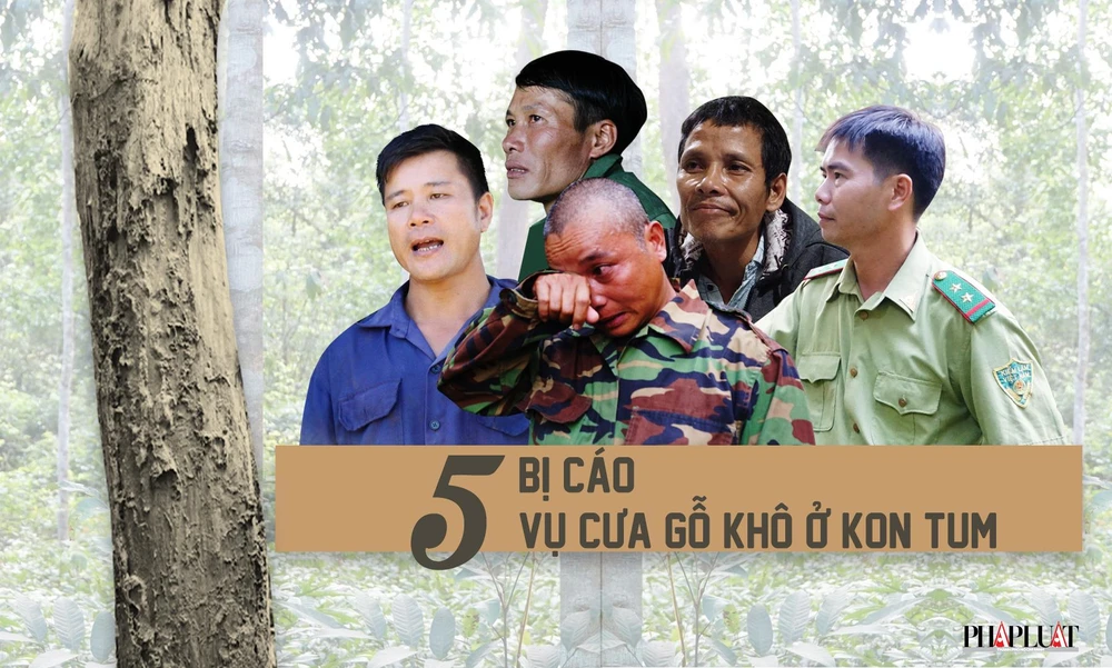 Vụ gỗ khô: Chủ nhiệm UBTP 'bẻ' lập luận của VKSND Tối cao ảnh 2