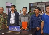 Khó hiểu tòa kết tội năm người cưa gỗ khô